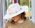 Texas Ivory Fedora Hat w/SilverConcho Band